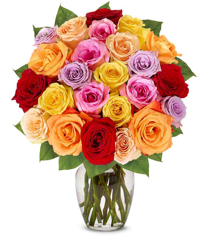 Gift set featuring two dozen vibrant rainbow roses, with optional glass vase and personalized message. Perfect for seeking forgiveness with sincerity.