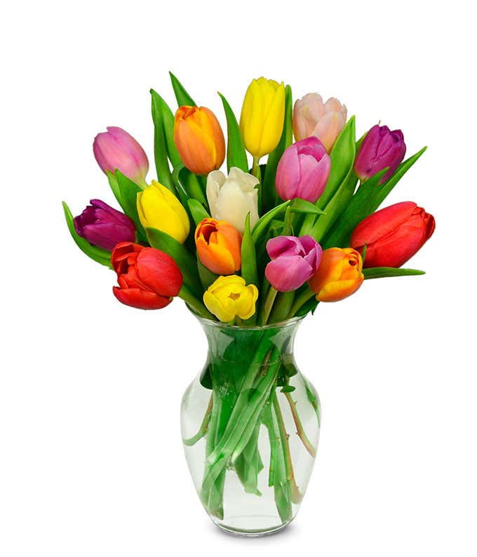 A delightful arrangement of seasonal tulips in a variety of colors, offering a fresh and vibrant display. These beautiful tulips bring a burst of color and cheer to any setting.