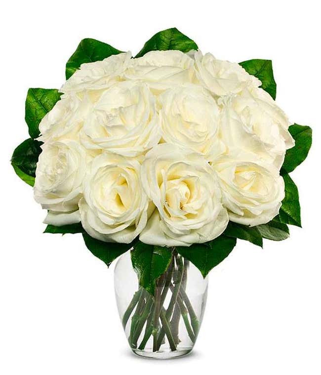 An elegant arrangement featuring one dozen white roses. This classic and timeless display offers a touch of purity and sophistication, perfect for any special occasion.