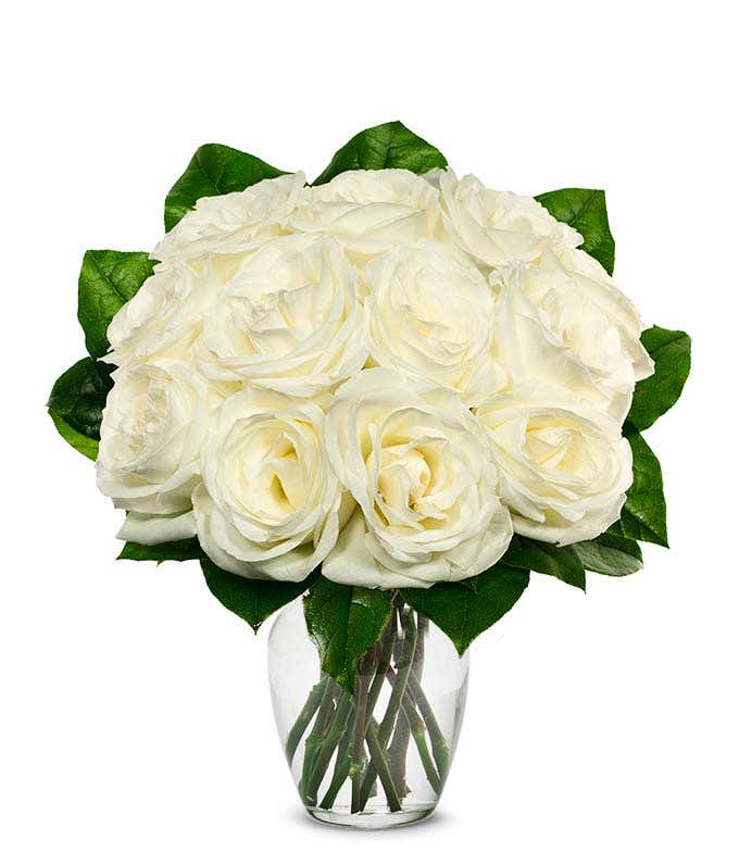 An elegant arrangement featuring one dozen white roses. This classic and timeless display offers a touch of purity and sophistication, perfect for any special occasion.