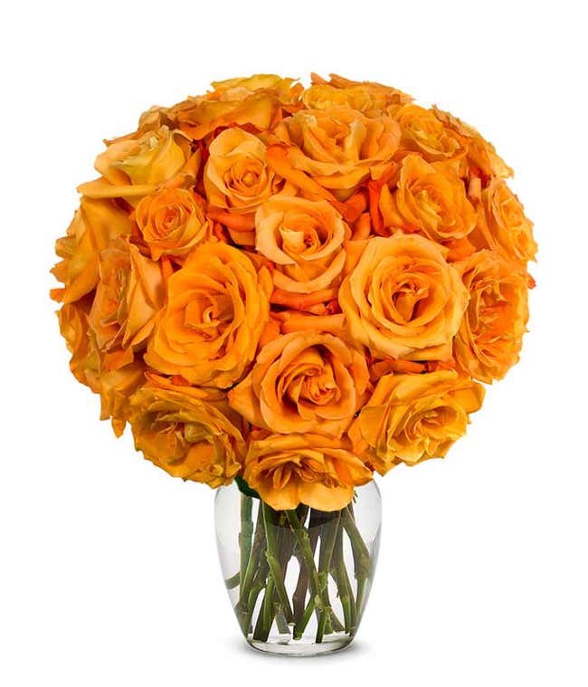 Two Dozen Orange Roses