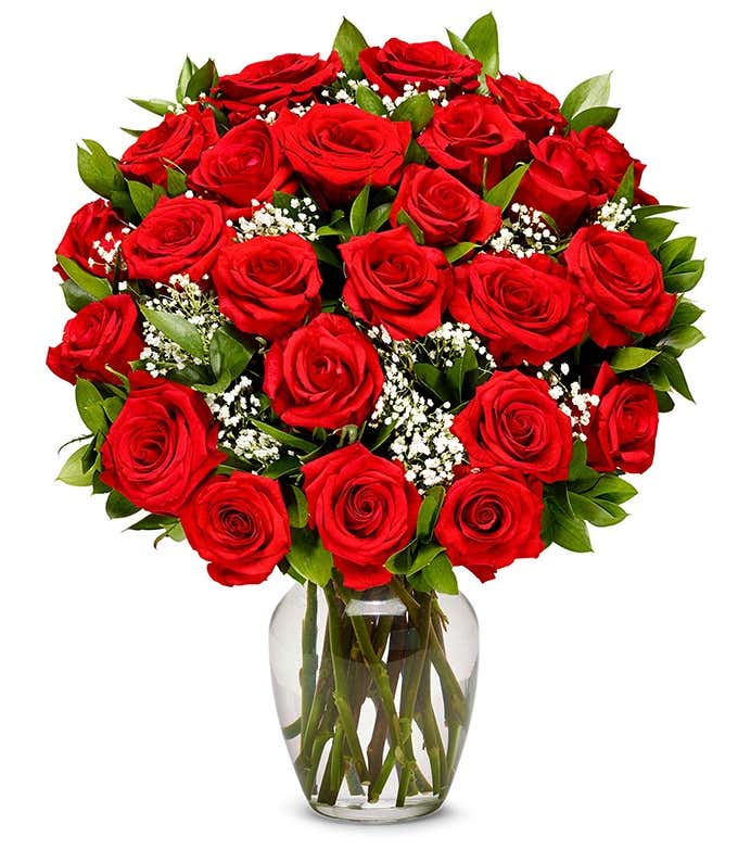 Two Dozen Red Roses