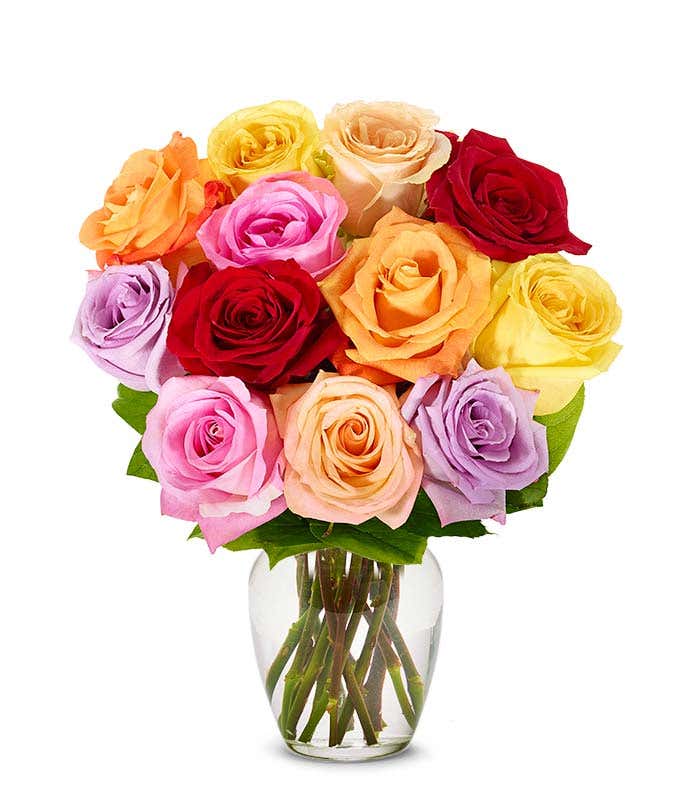 One Dozen Love is Love Rainbow Roses