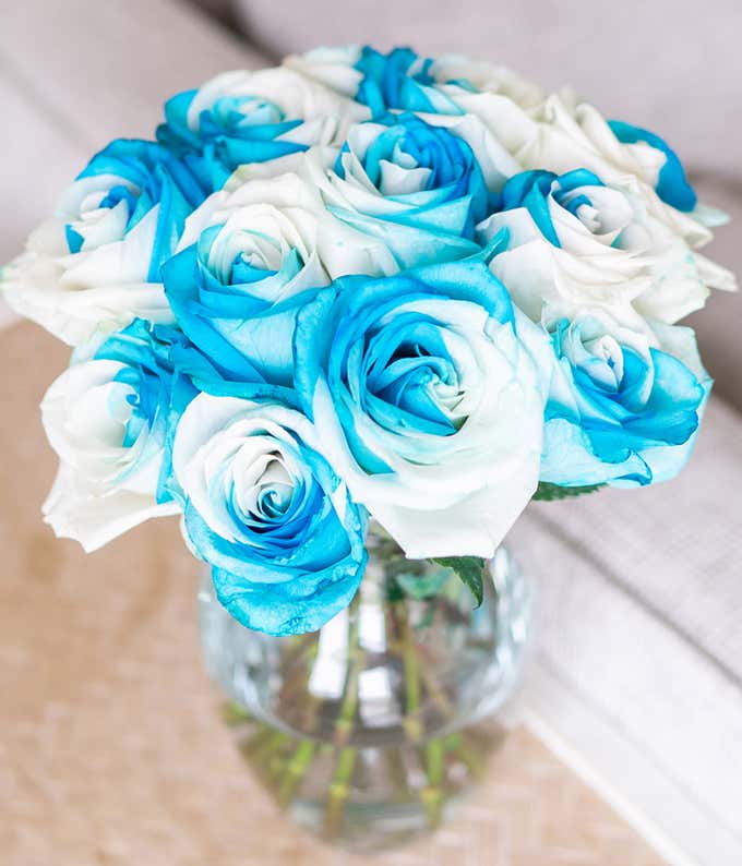 One Dozen White & Blue Sea Foam Roses in Clear Glass Vase