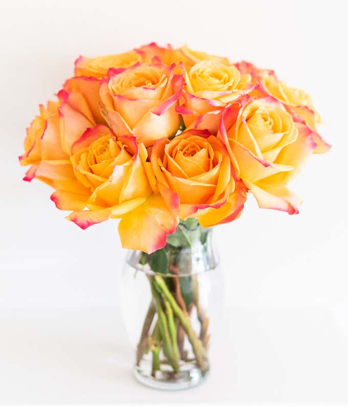 One Dozen Pop of Pink Roses in Clear Glass Vase