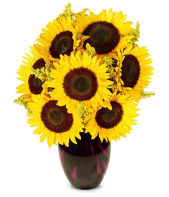 A vibrant arrangement featuring yellow sunflowers and golden solidago, optionally presented in a vase. This bright and cheerful display brings a touch of sunshine and warmth to any occasion. 