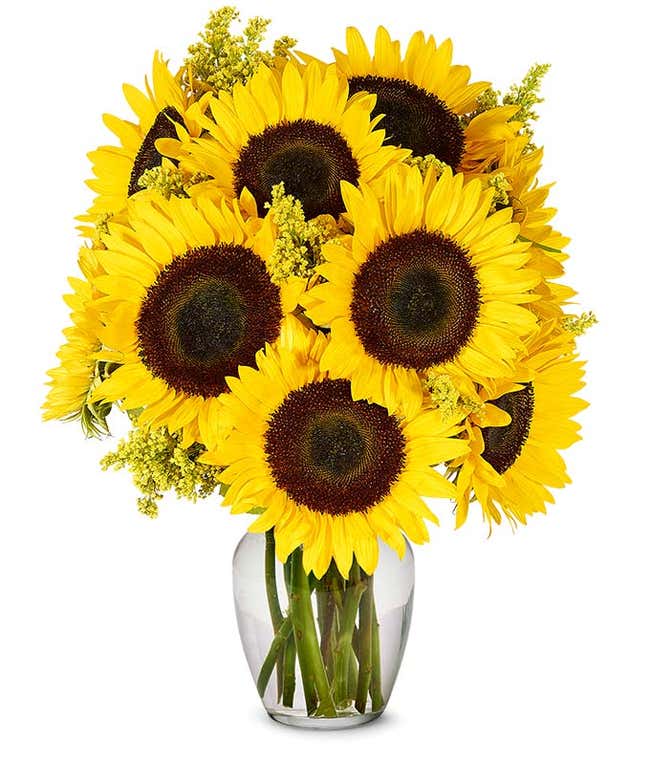 Bouquet of vibrant sunflowers arranged in a clear glass vase.