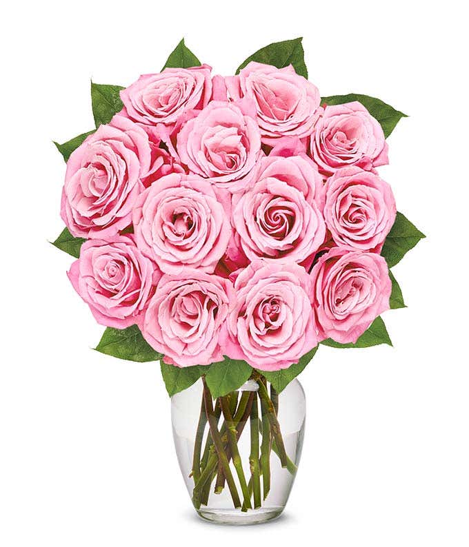 One Dozen Light Pink Breast Cancer Awareness Roses