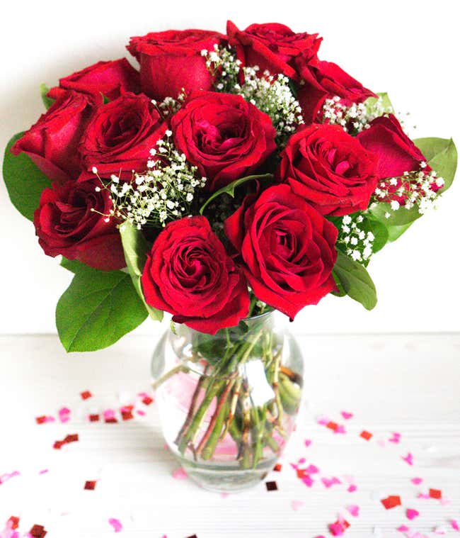 One Dozen Long Stemmed Red Roses