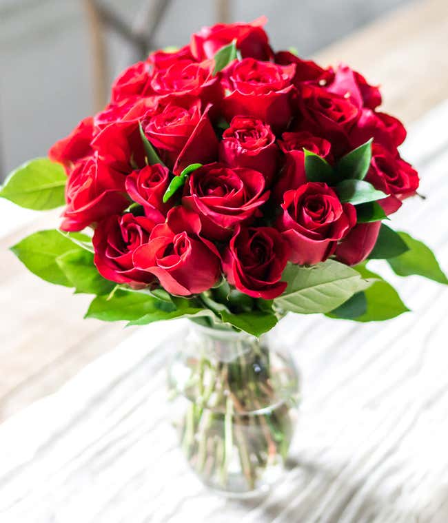 Two Dozen Long Stemmed Red Roses
