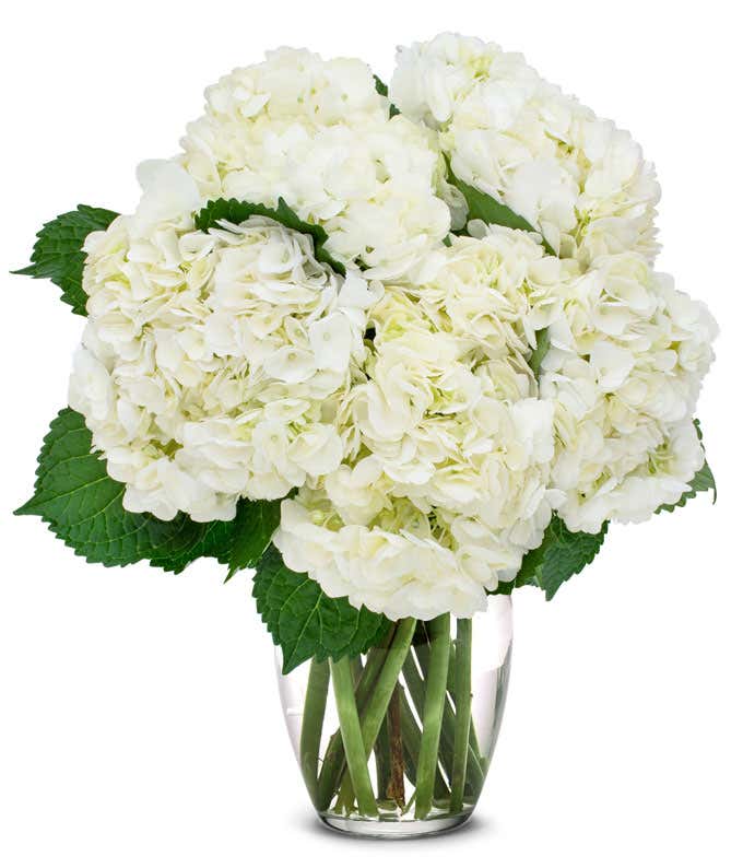 White Hydrangea Bouquet