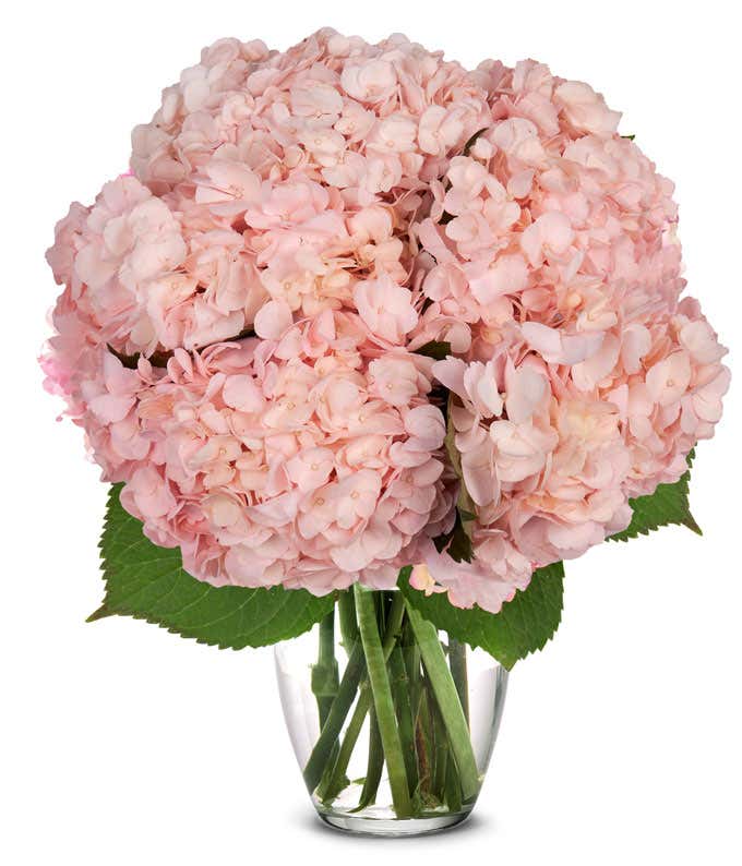 Pink Hydrangea Bouquet