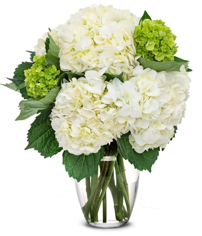 White & Mini Green Hydrangea Bouquet