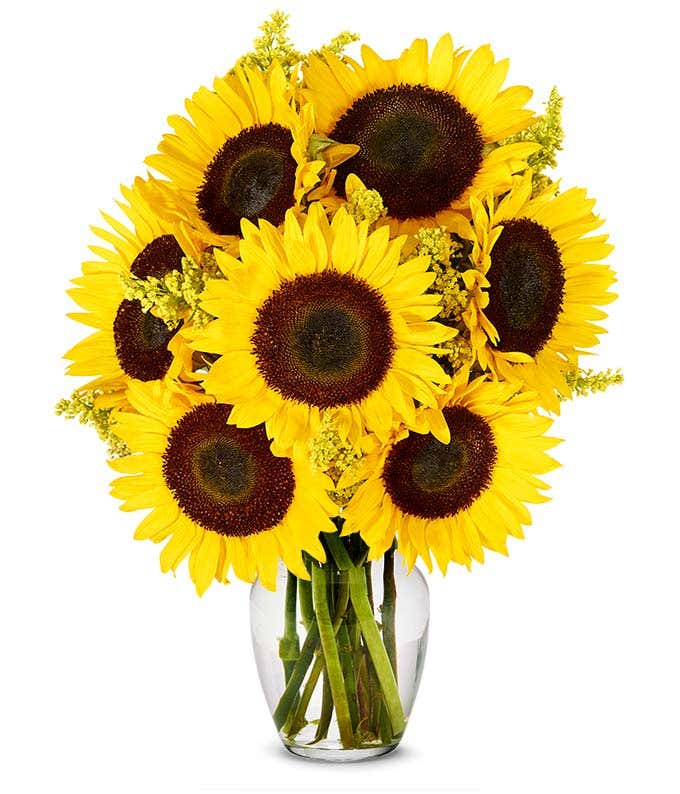 Deluxe Sunflower Bouquet