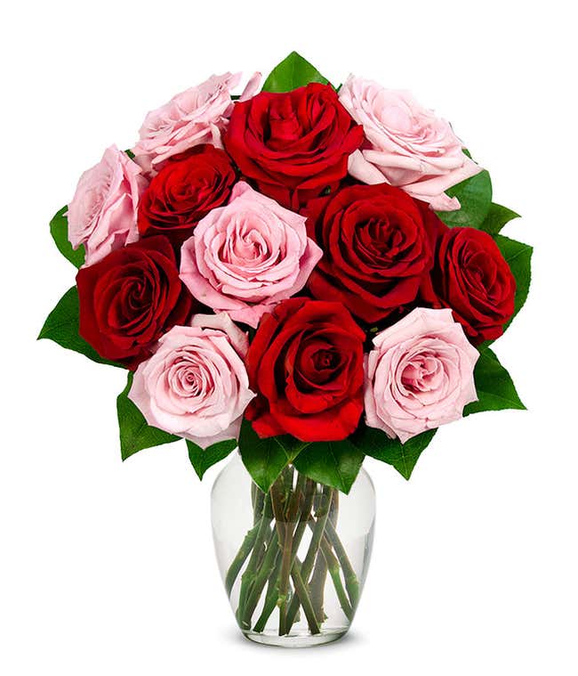 One Dozen Forever and Always Roses