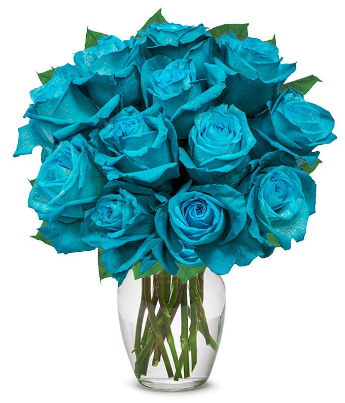 One Dozen Teal Roses