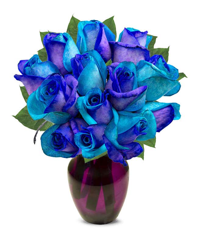 One Dozen Ocean Blue Roses