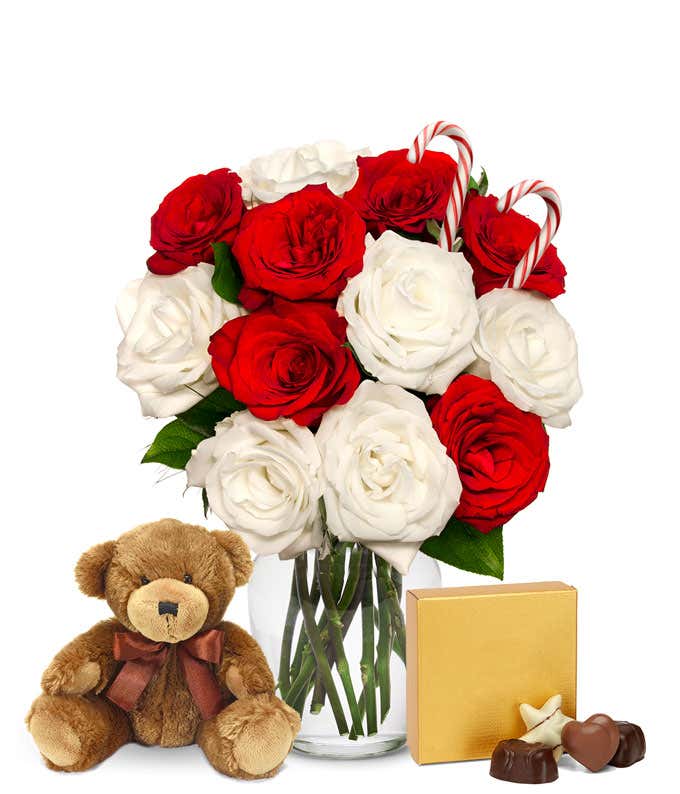 One Dozen Candy Cane Roses with Chocolates & Teddy Bear