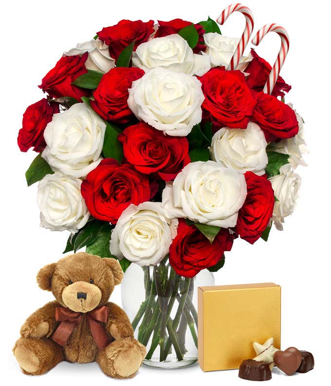 Two Dozen Candy Cane Roses with Chocolates & Bear