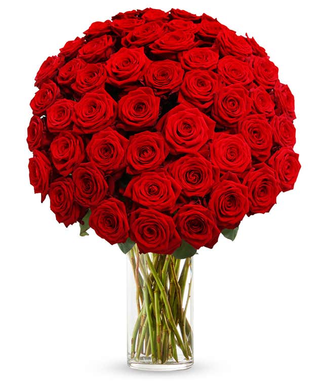 Stunning bouquet of numerous red roses, tightly arranged in a clear glass vase, creating a rich and luxurious floral display.