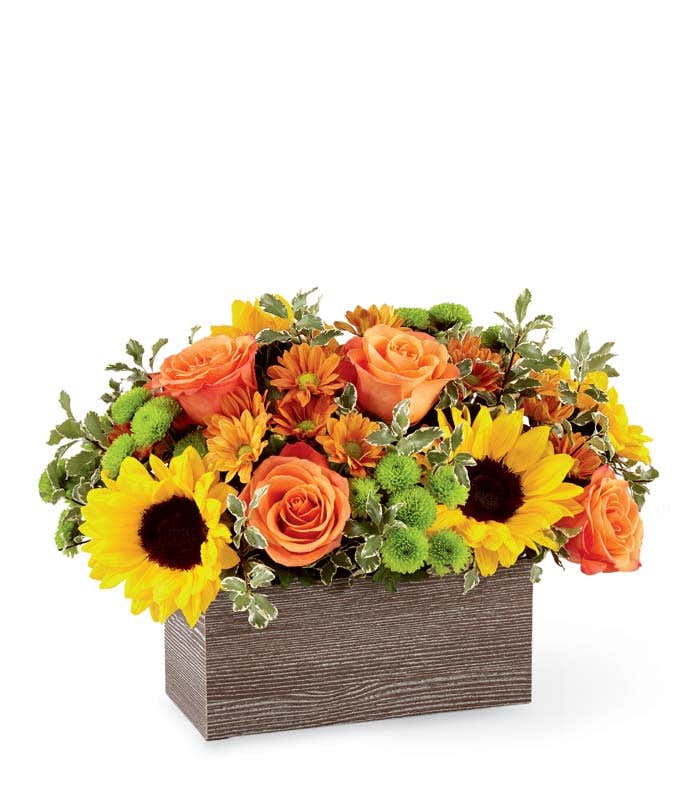 A bright and cheerful floral arrangement featuring sunflowers, orange roses, butterscotch daisies, and green poms, all beautifully arranged in a wooden planter.