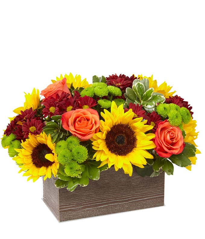 A cheerful floral arrangement featuring sunflowers, red daisies, orange roses, and green button poms, all beautifully presented in a keepsake planter.