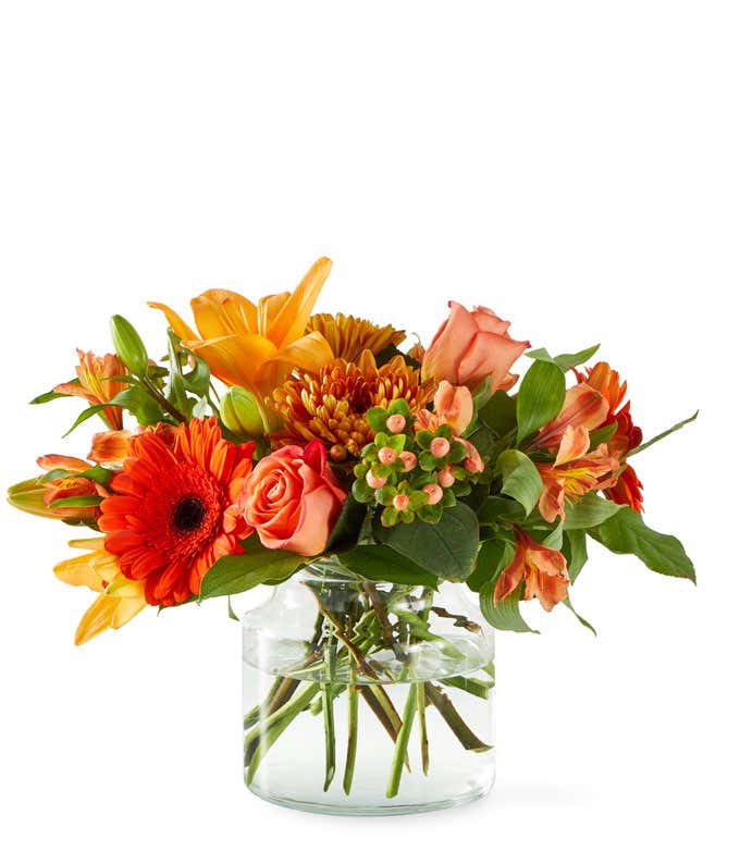 Orange Roses, Lilies, & Daisies in a glass Cinch Vase with a white background