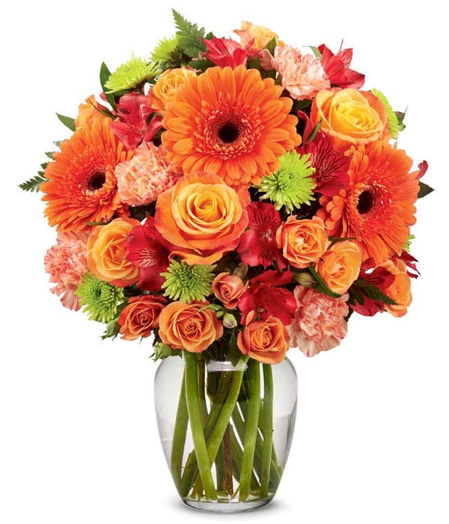 A bold floral arrangement featuring orange roses, orange gerbera daisies, red alstroemeria, and green button poms, all beautifully arranged in a glass vase. This vibrant mix offers a striking and energetic display.