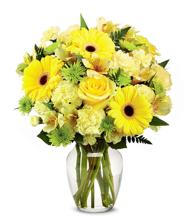 A floral arrangement featuring yellow gerbera daisies, yellow carnations, yellow mini carnations, yellow roses (deluxe &amp; premium), and yellow alstroemeria in a glass vase.