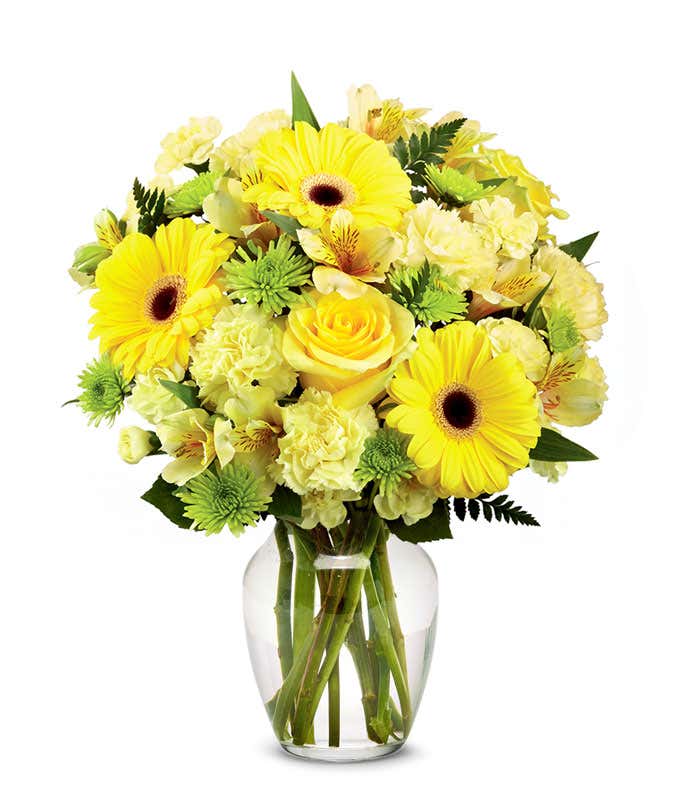 A floral arrangement featuring yellow gerbera daisies, yellow carnations, yellow mini carnations, yellow roses (deluxe & premium), and yellow alstroemeria in a glass vase.