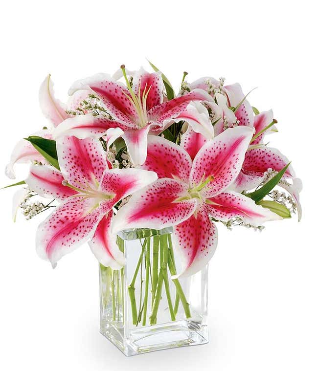 Pink stargazer lily bouquet