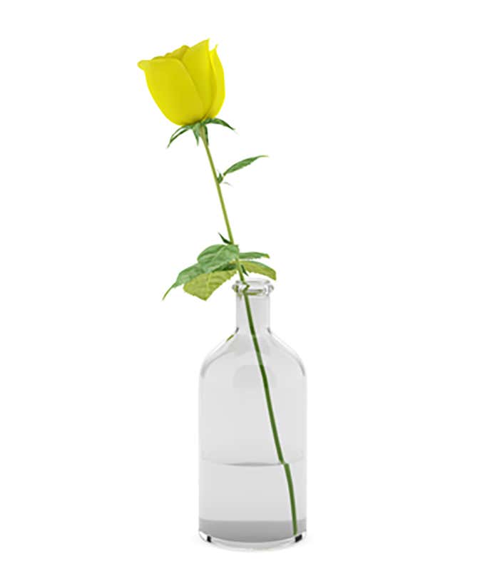 Single Yellow Rose