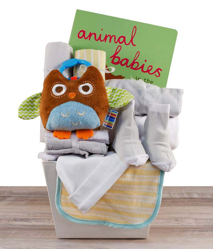 Bringing Home Baby Gift Basket - Owl