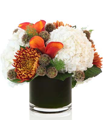 A stunning floral arrangement featuring white hydrangea, amber chrysanthemums, orange calla lilies, and scabiosa pods, all elegantly presented in a cylinder vase.