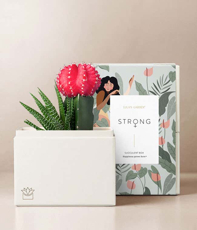 Lula's Garden &reg; Women's History Month Ros&eacute; Garden