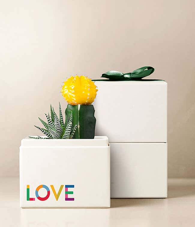 Lula's Garden &reg; Celebrate Pride Ray Garden