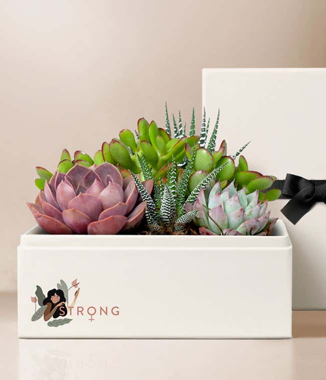 Lula's Garden &reg; Women's Day Urban Garden 