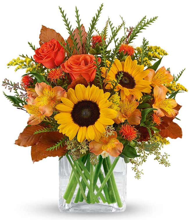 A bright floral arrangement featuring deluxe and premium orange roses, sunflowers, orange safflower, orange Peruvian lilies, and yellow solidago, all beautifully arranged in a cube vase.