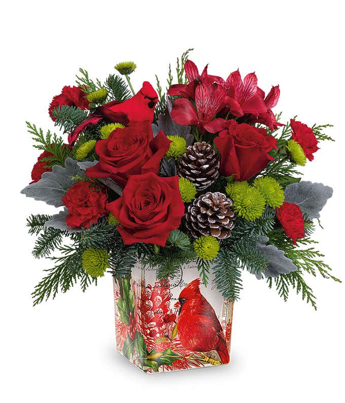 A festive arrangement with red roses, red alstroemeria, green button chrysanthemums, and seasonal greens, accented with cardinal and pinecone details, all beautifully presented in a keepsake cardinal vase.