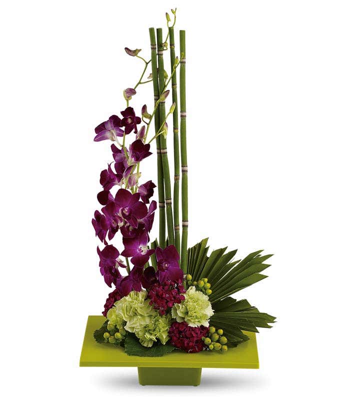 A striking arrangement featuring purple dendrobium orchids, green carnations, hypericum, and bamboo-like equisetum. This unique and vibrant display offers a touch of exotic elegance to any setting. 