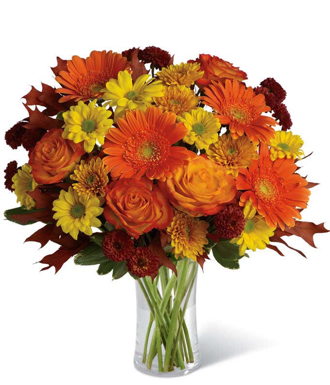 Arrangement of orange roses, orange gerbera daisies, yellow daisy spray chrysanthemums, orange cushion spray chrysanthemums, rust button spray chrysanthemums, variegated pittosporum, brown transparent oak leaves in a tall cylinder vase.