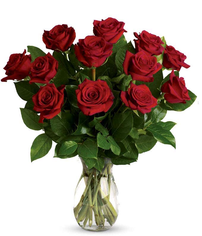 Classic Romance Red Roses