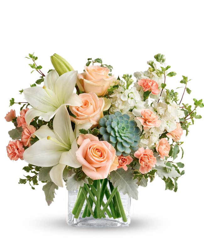 Floral arrangement featuring peach roses, white Asiatic lilies, peach mini carnations, white stock, pitta negra, dusty miller, and a green echeveria succulent in a glass cube vase.