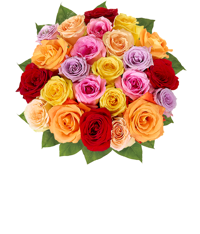 Partial image of Gift set featuring two dozen vibrant rainbow roses, with optional glass vase and personalized message. Perfect for seeking forgiveness with sincerity. without vase