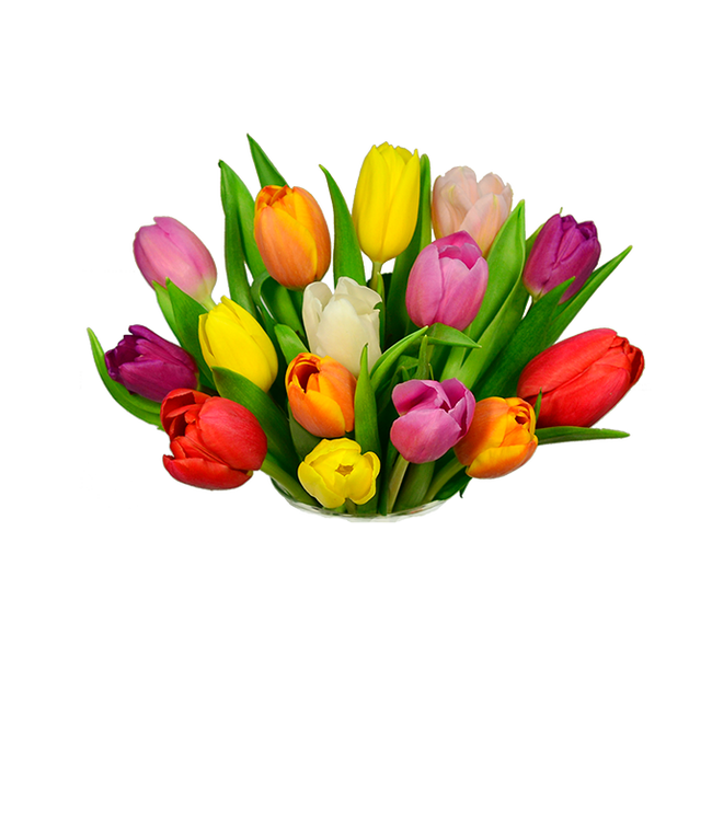 Partial image of A delightful arrangement of seasonal tulips in a variety of colors, offering a fresh and vibrant display. These beautiful tulips bring a burst of color and cheer to any setting. without vase