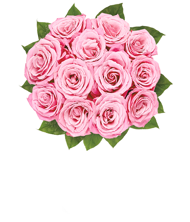 Partial image of A delicate arrangement featuring one dozen light pink roses. This elegant and timeless display offers a touch of romance and sophistication, perfect for any special occasion. without vase
