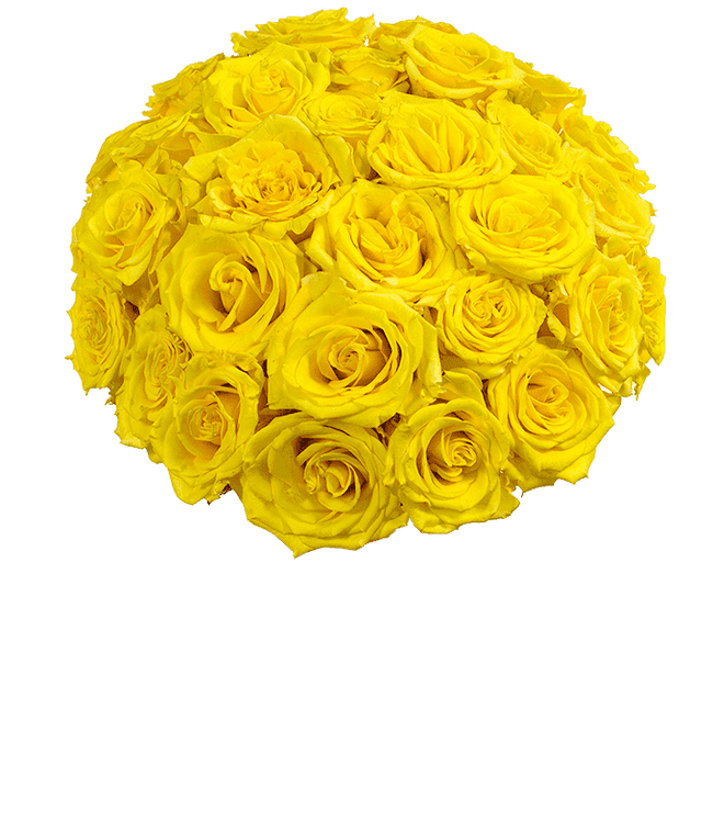 Partial image of Next day delivery of yellow roses without vase