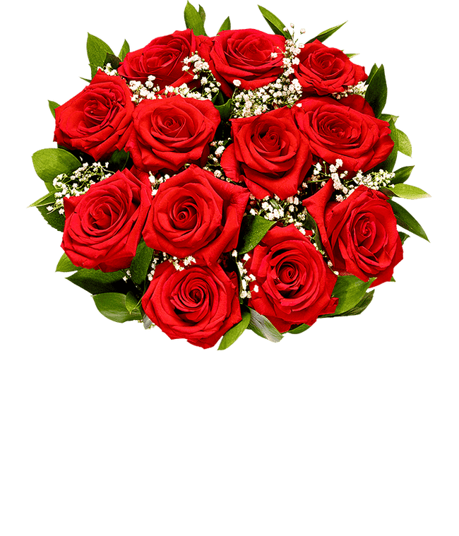 Partial image of One Dozen Red Roses without vase
