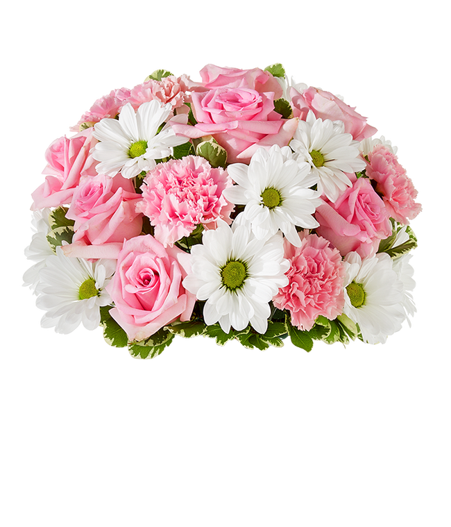 Partial image of Dreaming in Daisies Bouquet - Deluxe without vase