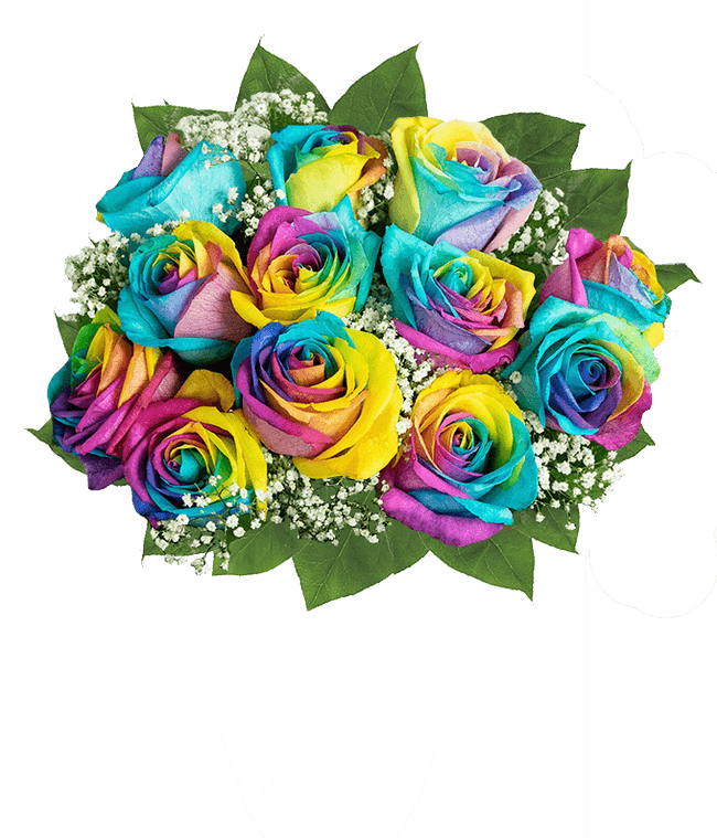 Partial image of One Dozen Pride Roses without vase